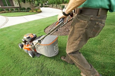 mexican lawnmower|Mexican Lawnmower: A Cultural Approach to Yard Maintenance